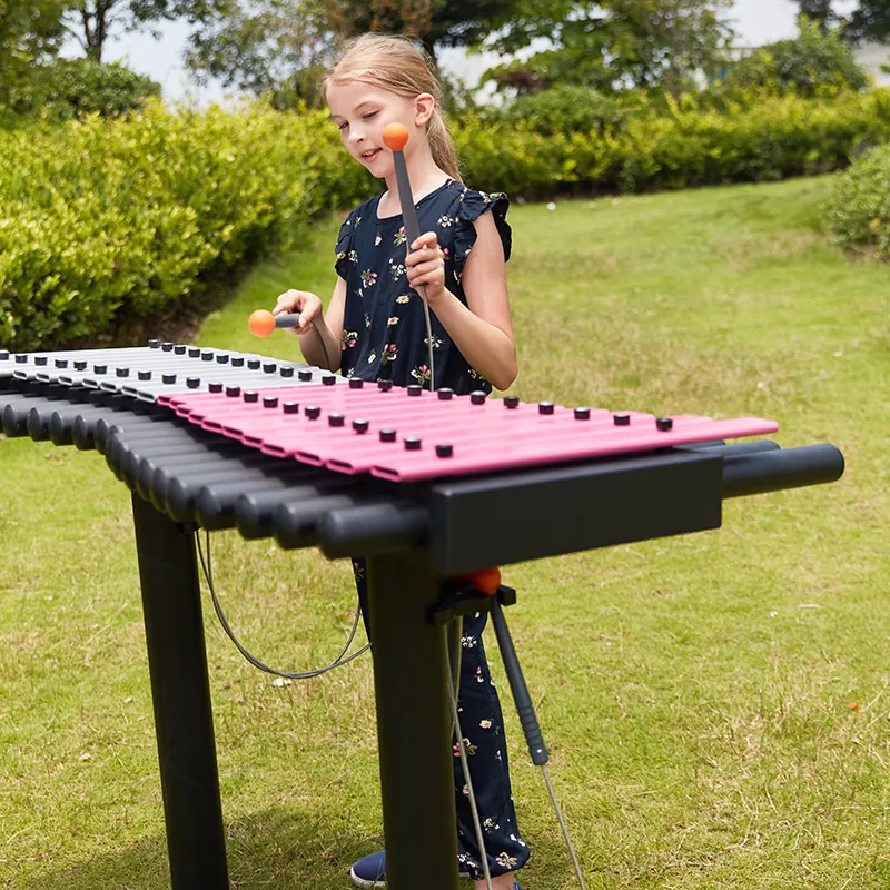 ឌូកូហ្វូនៅខាងក្រៅ xylophone